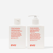 Evo ritual salvation repairing duo